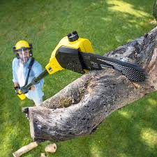 Best Lawn Mowing Services  in Whitehouse, OH